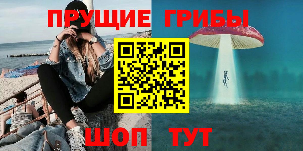 Гусев  купить  цена  Вход с VPN  Галлюциногенные грибы GOLDEN TEACHER 